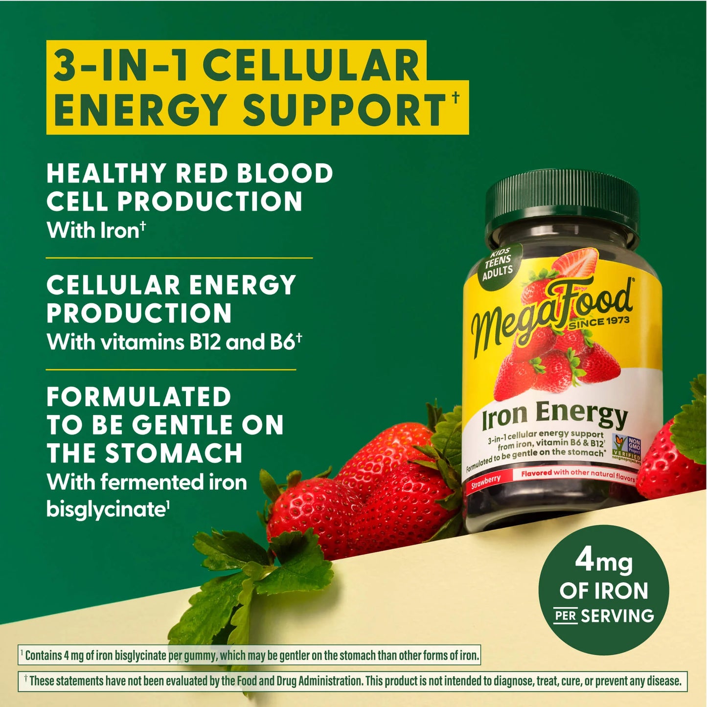 IRON ENERGY