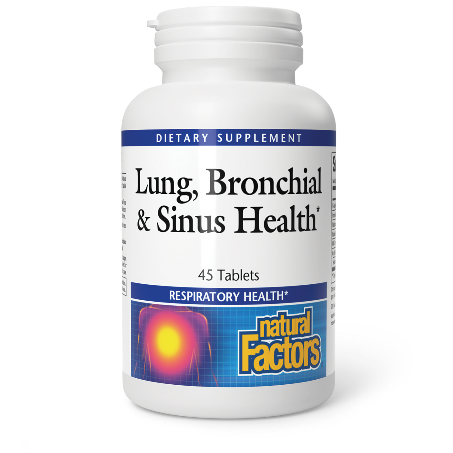 LUNG BRONCHIAL & SINUS