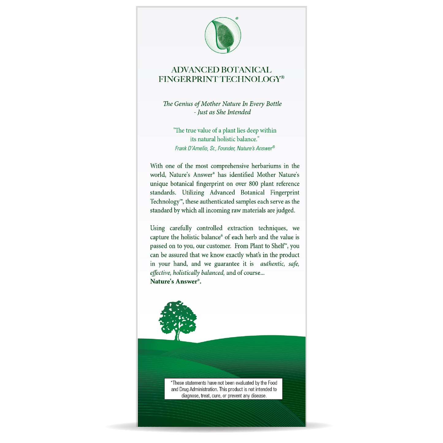 SAMBUCUS ORIGINAL EXTRACT