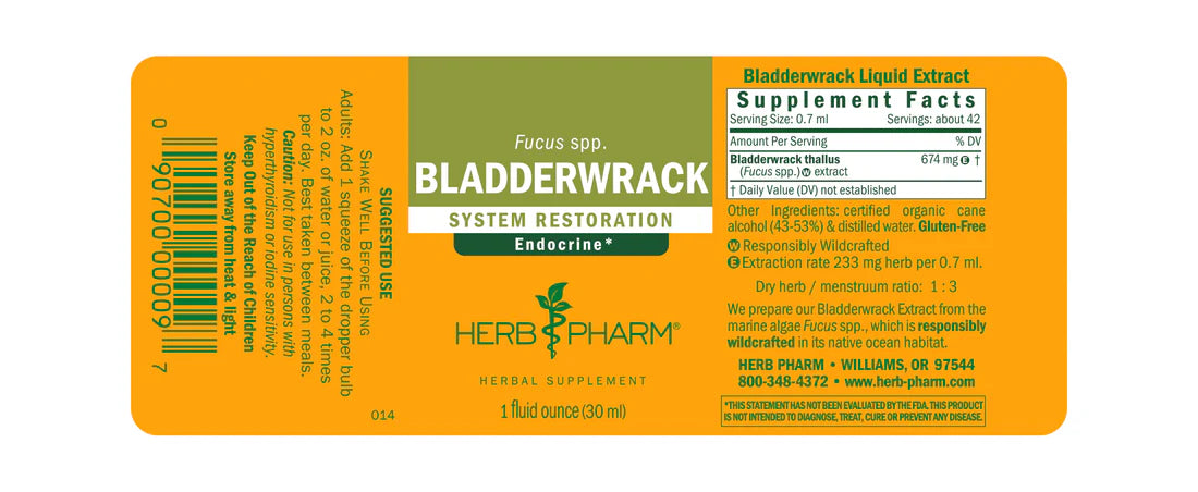 BLADDERWRACK EXTRACT