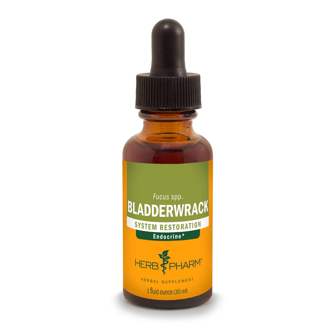 BLADDERWRACK EXTRACT