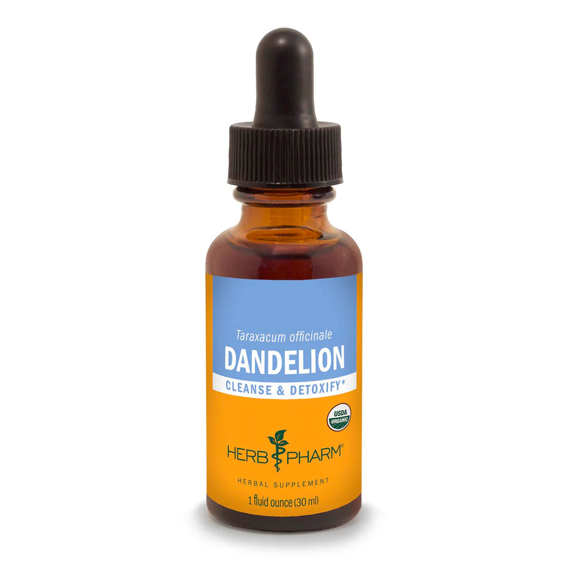 DANDELION EXTRACT