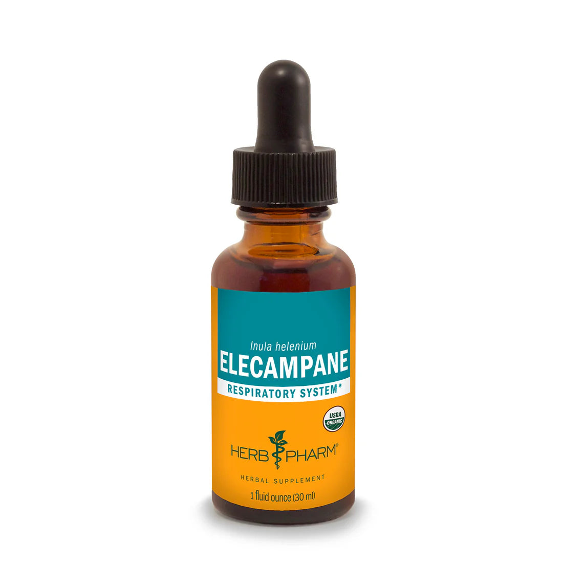 ELECAMPANE EXTRACT