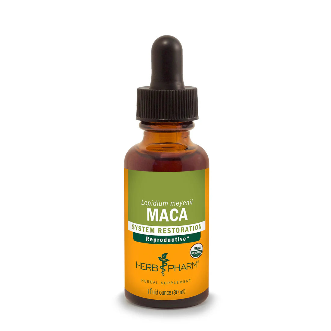 MACA EXTRACT