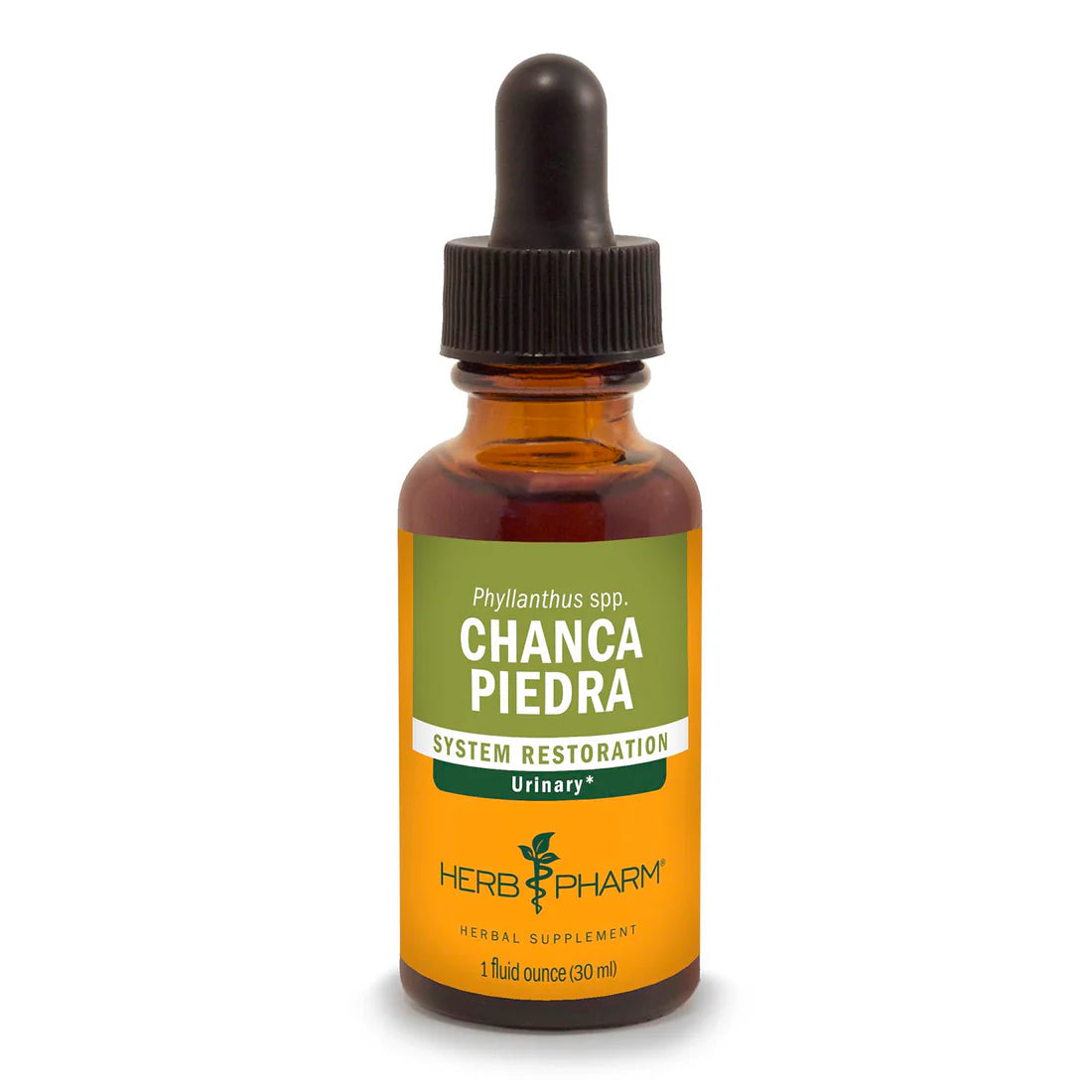 CHANCA PIEDRA EXTRACT