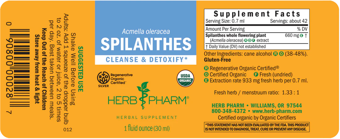 SPILANTHES EXTRACT