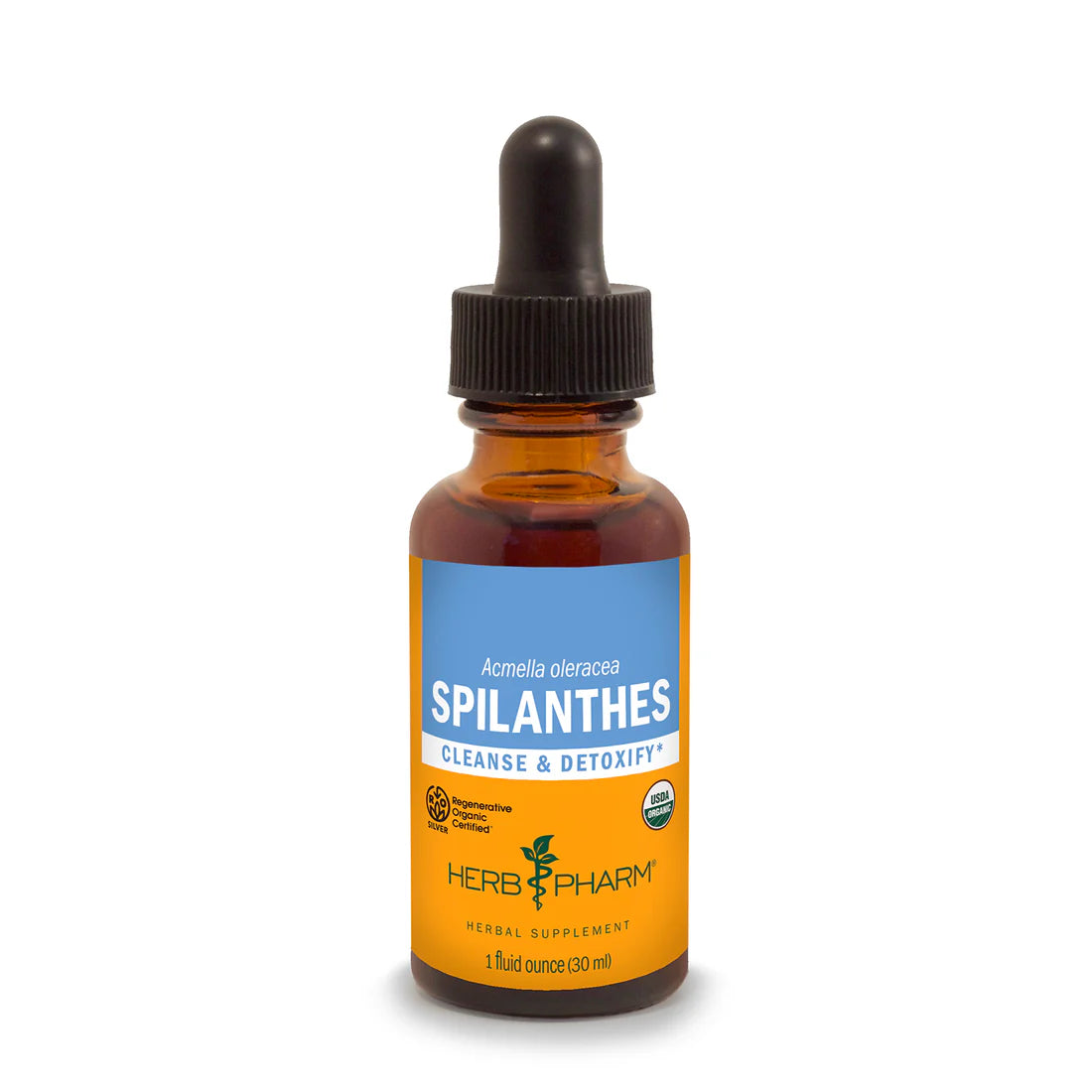 SPILANTHES EXTRACT