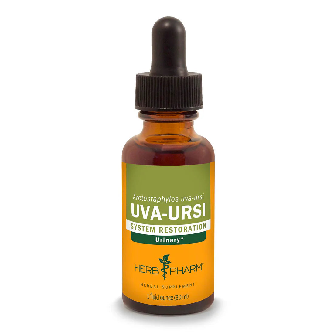 UVA-URSI EXTRACT