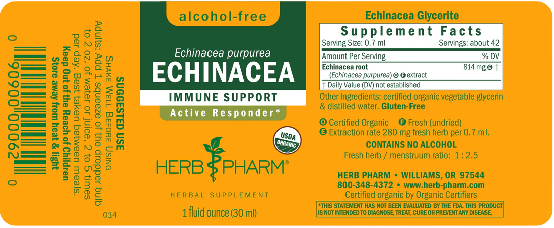 ECHINACEA GLYCERITE