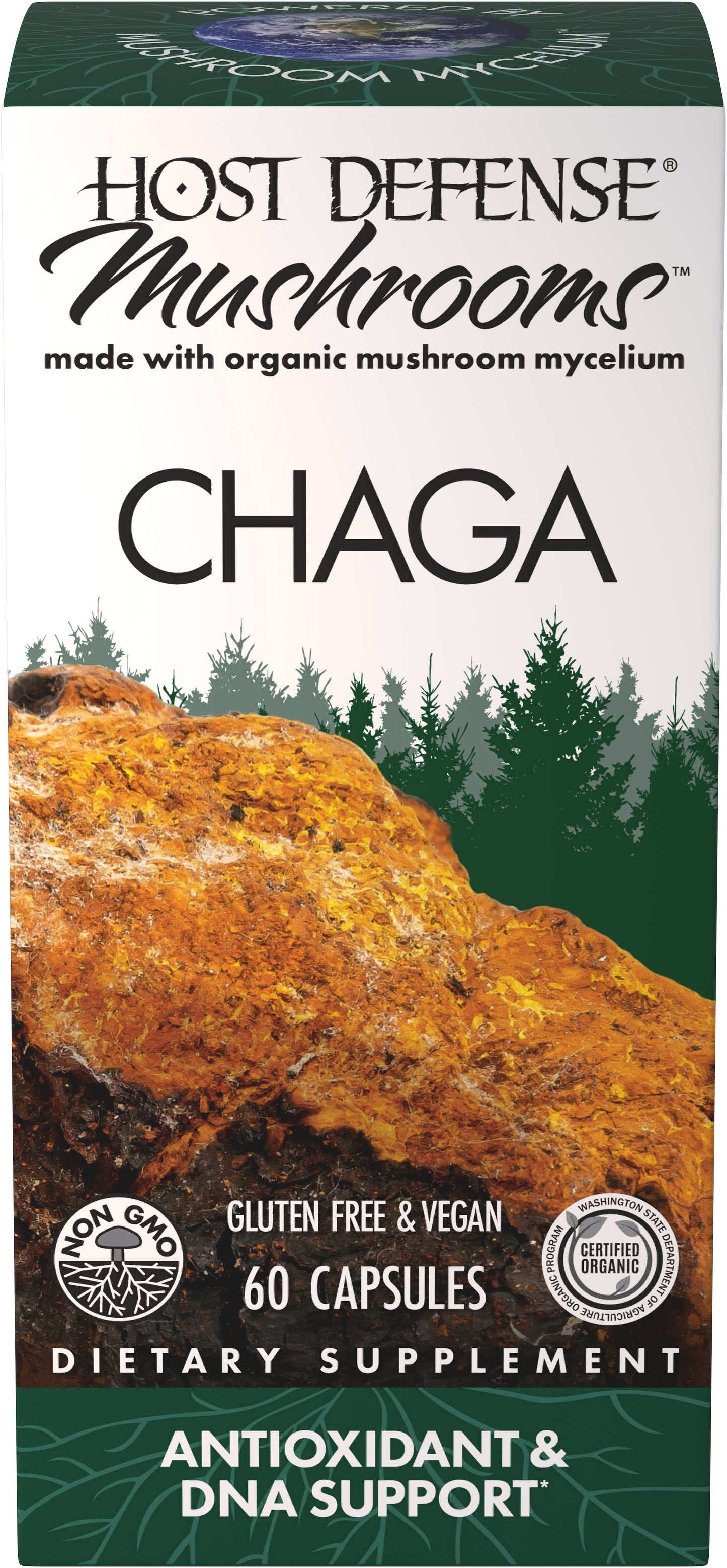 CHAGA (60)
