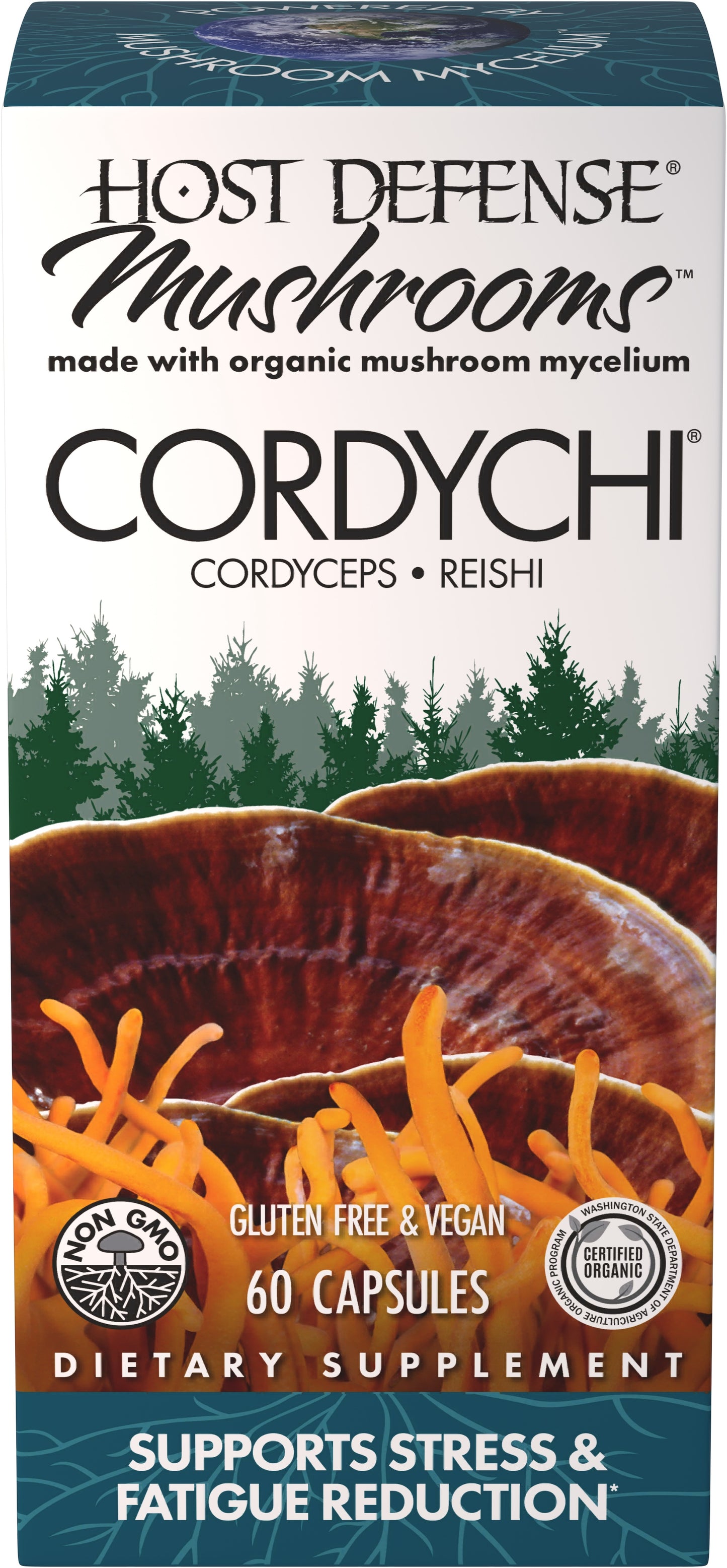 CORDYCHI (60)