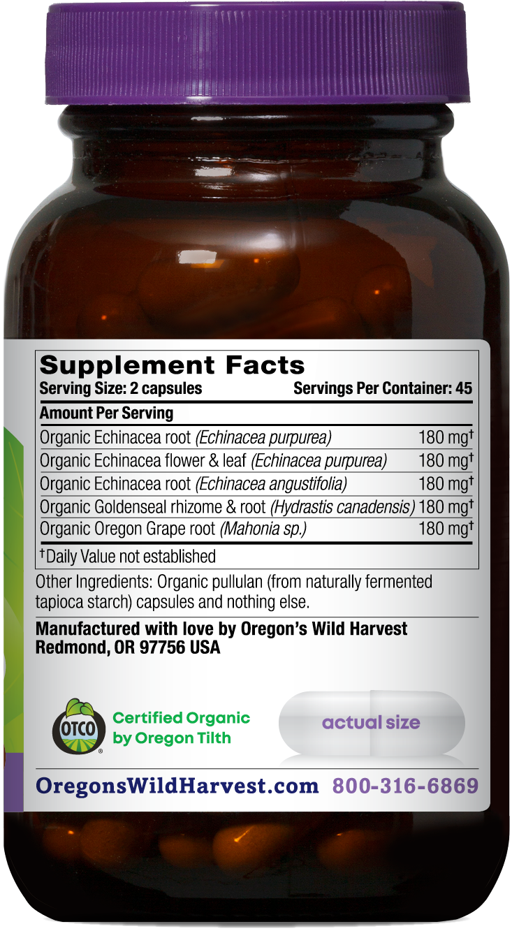 ECHINACEA GOLDENSEAL ORGANIC