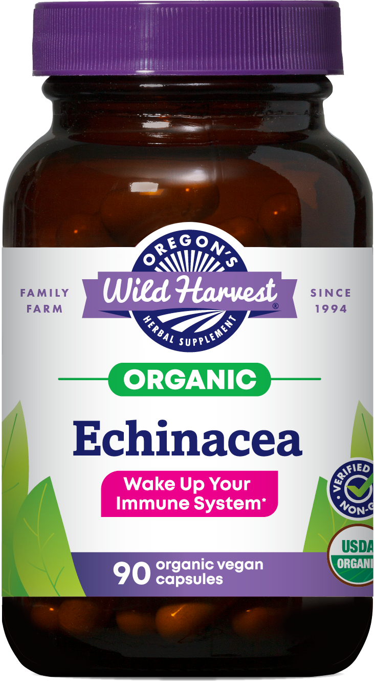 ECHINACEA ORGANIC