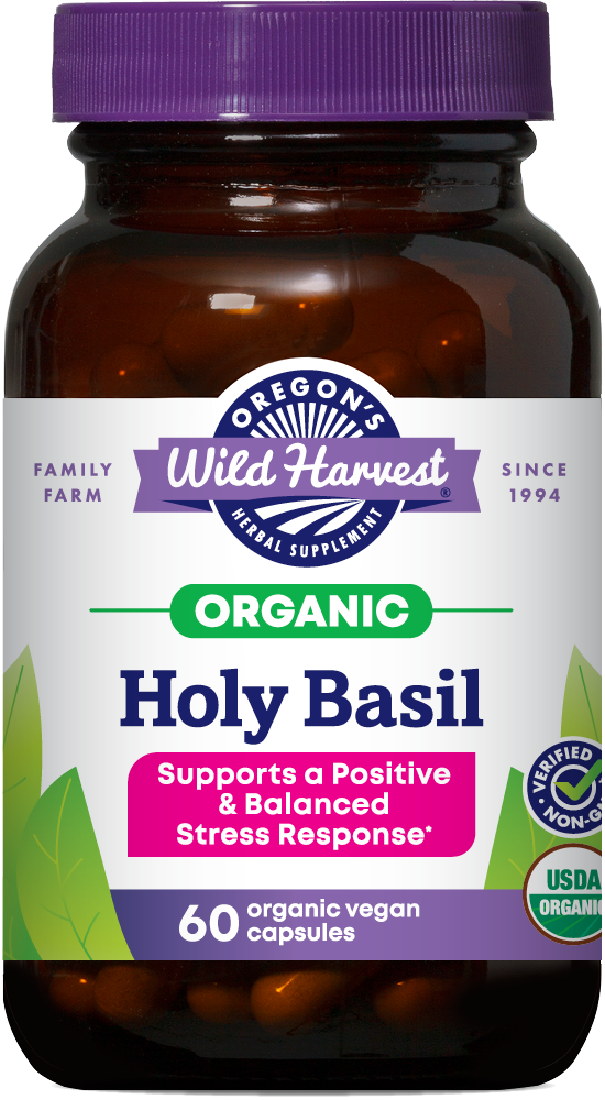 HOLY BASIL ORGANIC