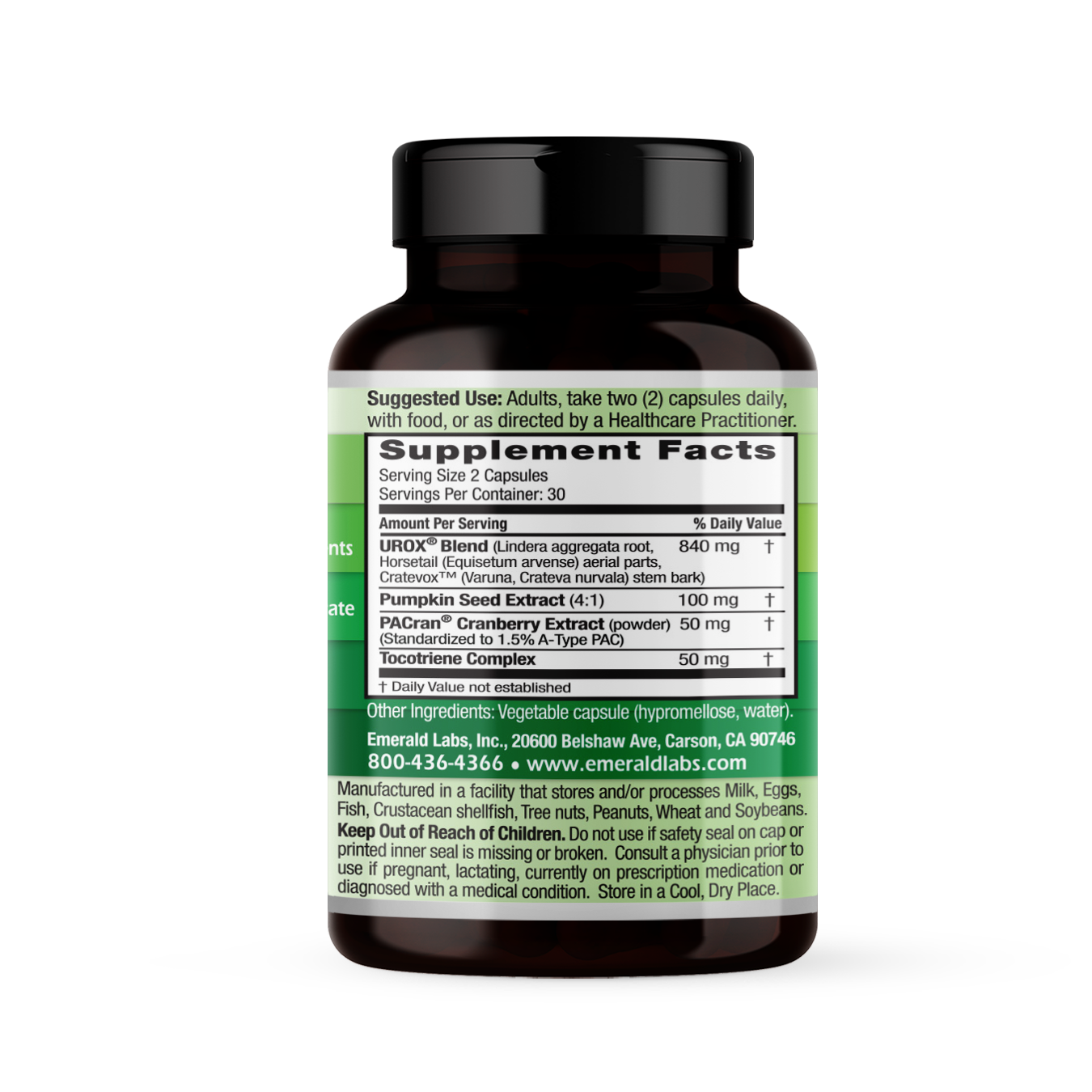 BLADDER HEALTH