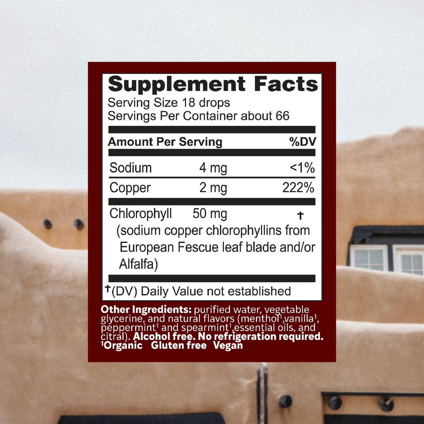 CHLOROXYGEN CHLOROPHYLL MINT