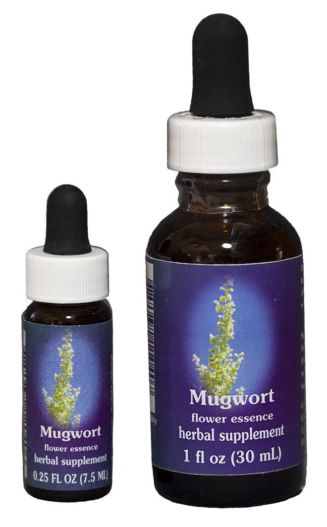 MUGWORT