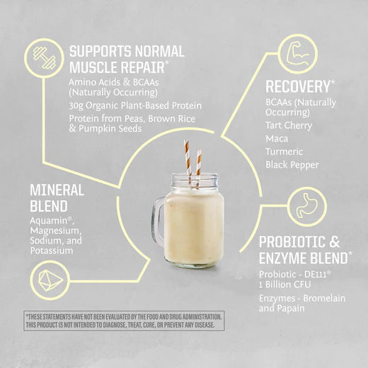 ACTIVE PROTEIN VANILLA