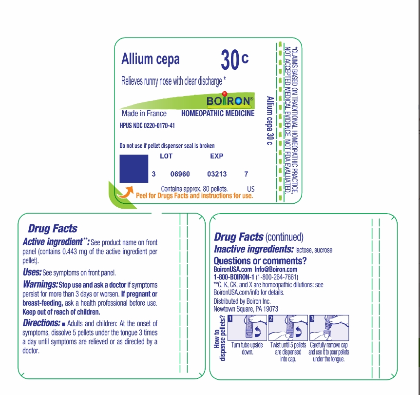 ALLIUM CEPA 30C
