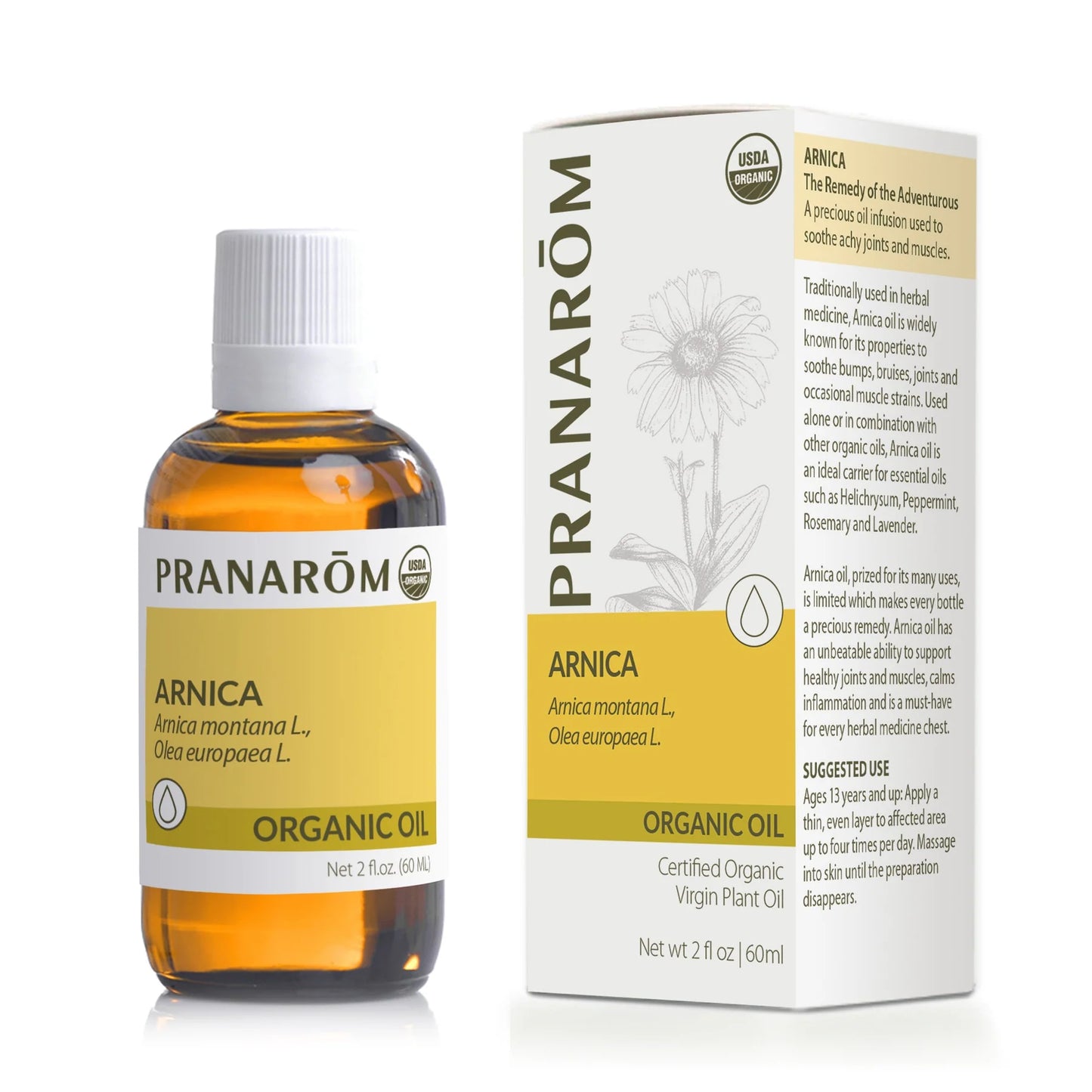 ARNICA PLANT OIL