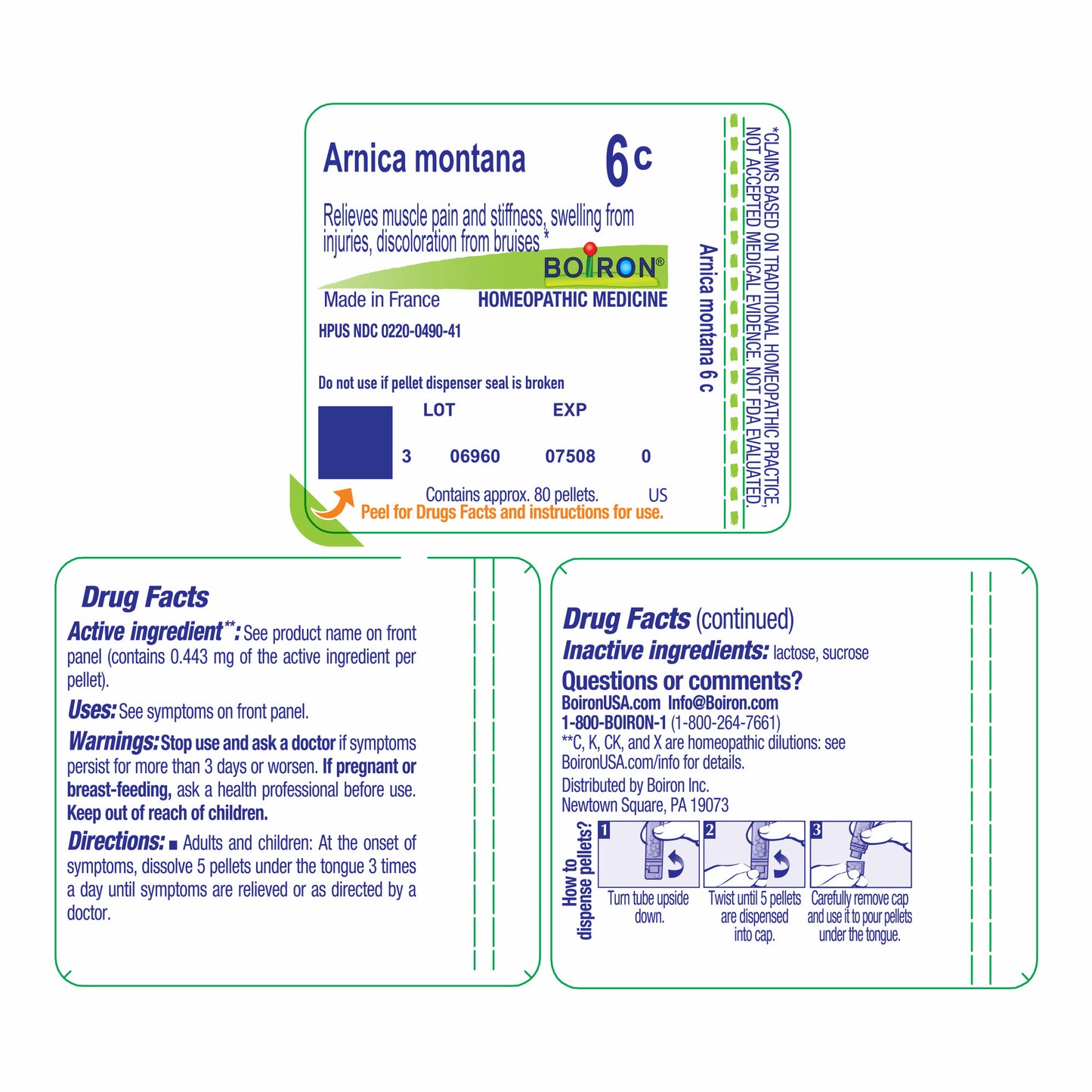 ARNICA MONTANA 6C