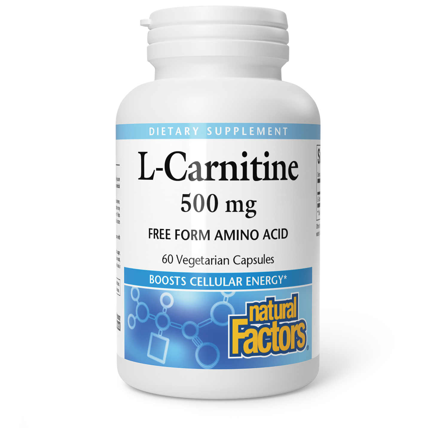 L-CARNITINE 500 MG