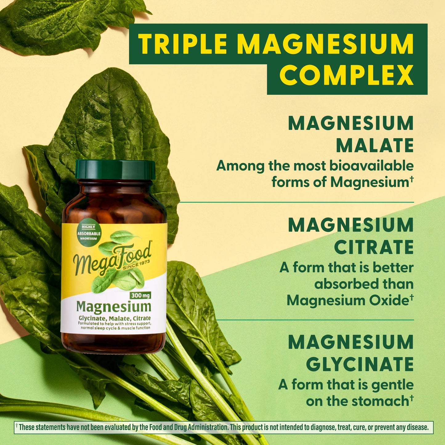 MAGNESIUM 300