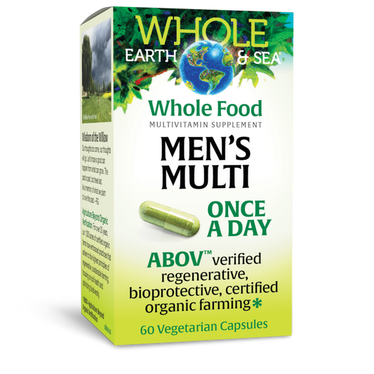MENS MULTI ONCE A DAY