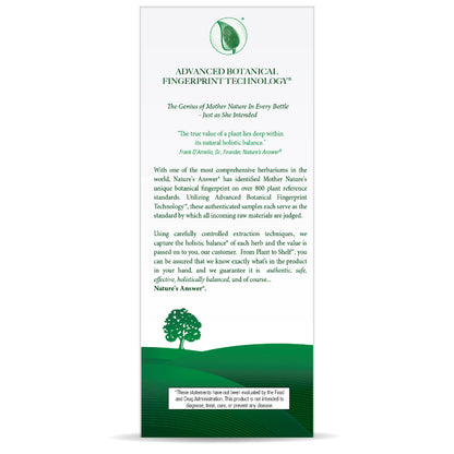 SAMBUCUS ORIGINAL EXTRACT