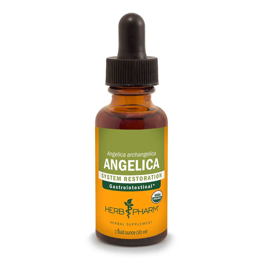 ANGELICA EXTRACT