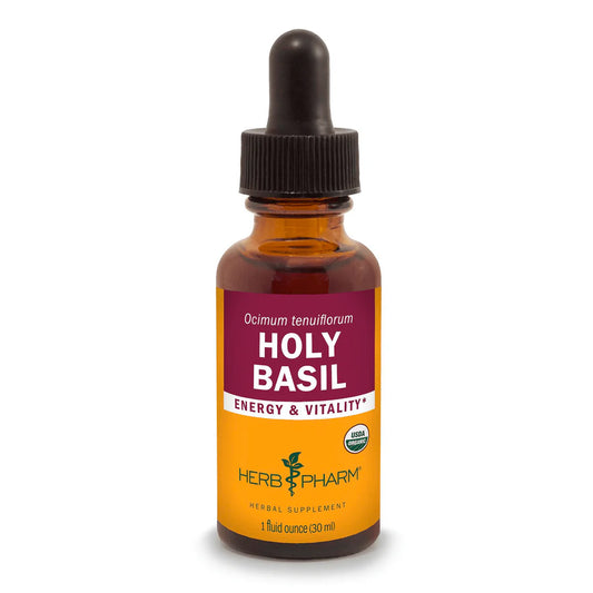HOLY BASIL EXTRACT