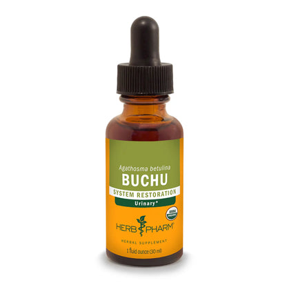BUCHU EXTRACT