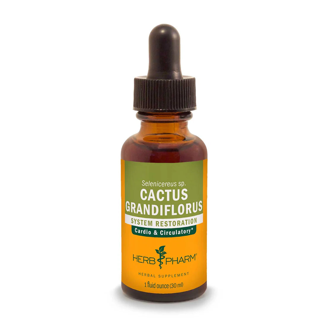 CACTUS GRANDIFLORUS EXTRACT