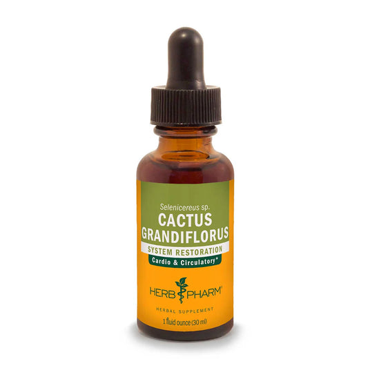 CACTUS GRANDIFLORUS EXTRACT