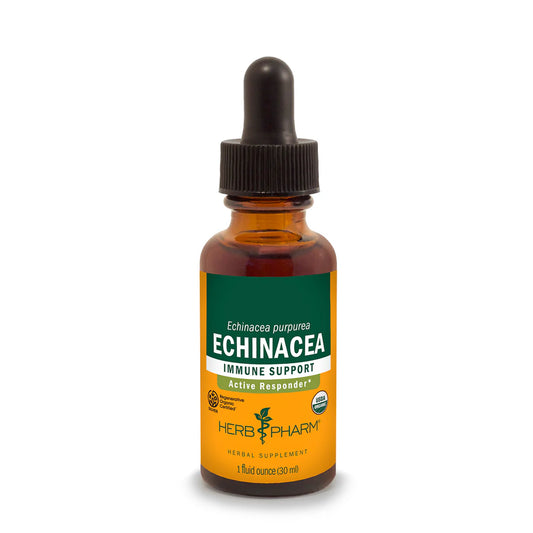 ECHINACEA EXTRACT