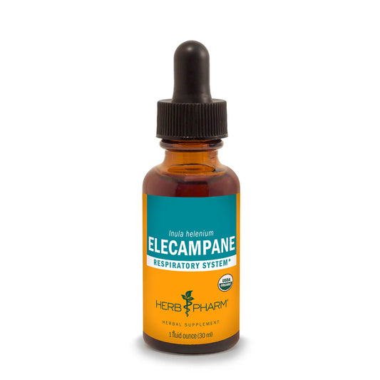 ELECAMPANE EXTRACT