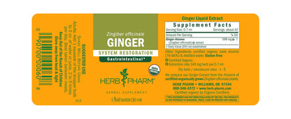 GINGER EXTRACT