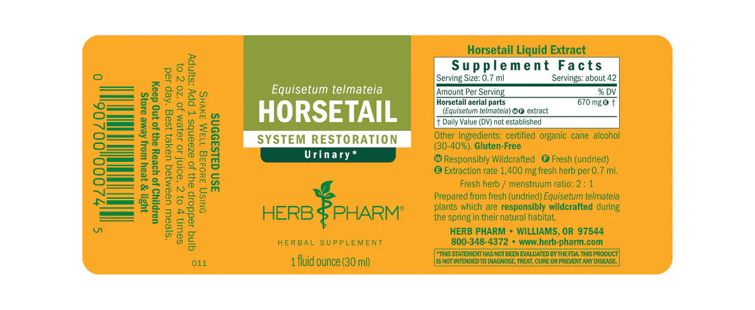 HORSETAIL EXTRACT