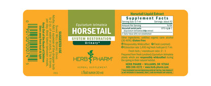HORSETAIL EXTRACT