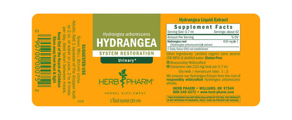 HYDRANGEA EXTRACT