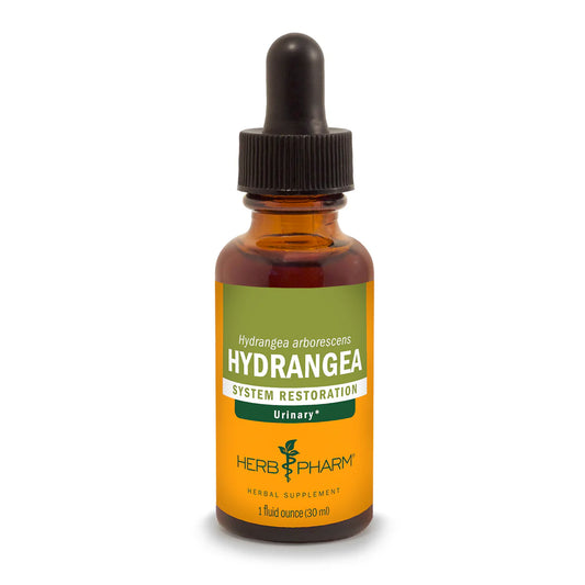 HYDRANGEA EXTRACT