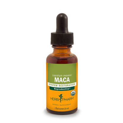 MACA EXTRACT
