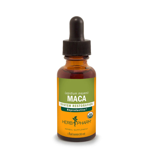 MACA EXTRACT