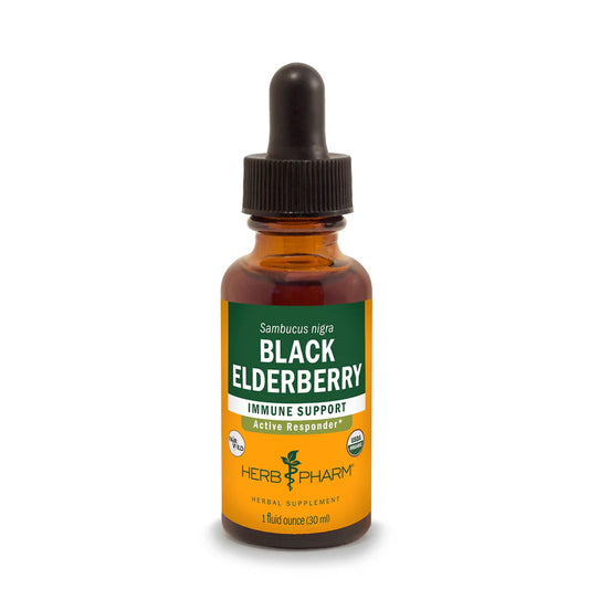BLACK ELDERBERRY EXTRACT