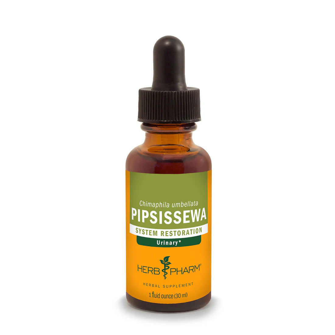 PIPSISSEWA EXTRACT