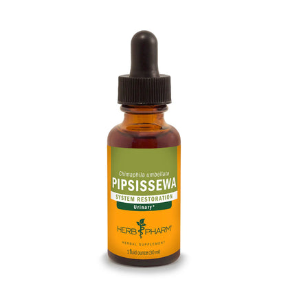 PIPSISSEWA EXTRACT