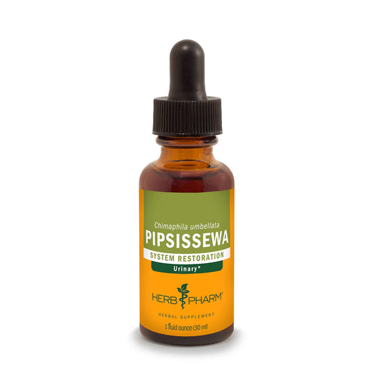 PIPSISSEWA EXTRACT