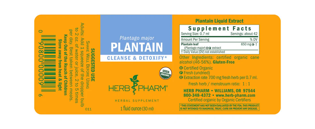 PLANTAIN EXTRACT