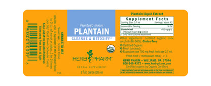 PLANTAIN EXTRACT