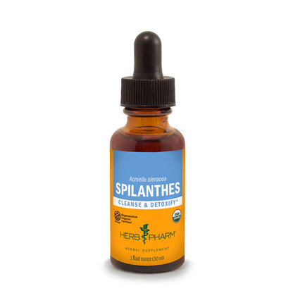 SPILANTHES EXTRACT